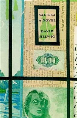 Saltsea : a novel / David Helwig.