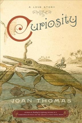 Curiosity : a love story / Joan Thomas.
