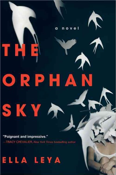 The orphan sky / Ella Leya.