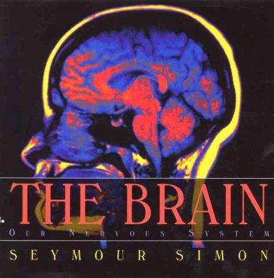 The Brain : our nervous system