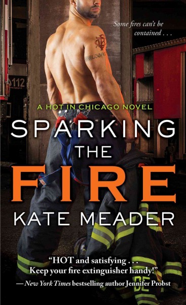 Sparking the fire / Kate Meader.