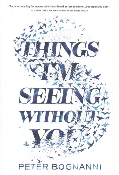Things I'm seeing without you / Peter Bognanni.