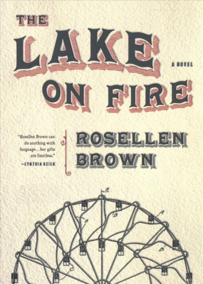 The lake on fire : a novel / Rosellen Brown.