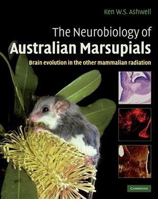 The neurobiology of Australian marsupials : brain evolution in the other mammalian radiation / editor and principal author, Ken Ashwell.