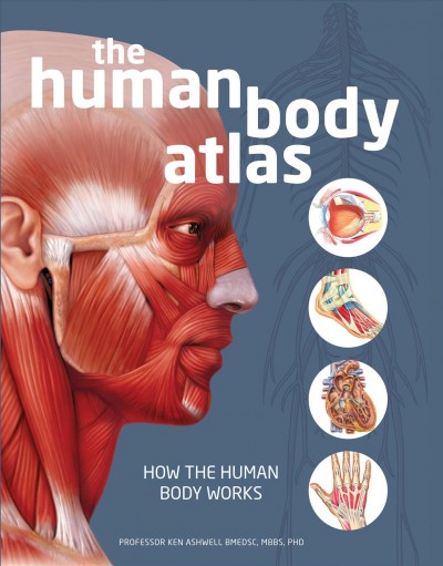 The human body atlas : how the human body works / professor Ken Ashwell BMedSC, MB, BS, PhD.