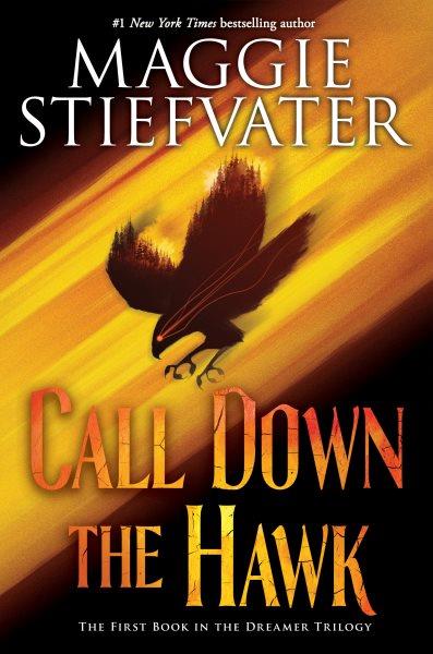 Call down the hawk / Maggie Stiefvater.