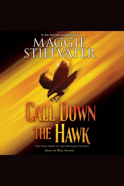 Call down the hawk [electronic resource] / Maggie Stiefvater.