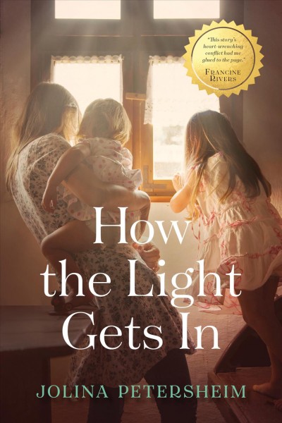 How the light gets in [electronic resource] / Jolina Petersheim.
