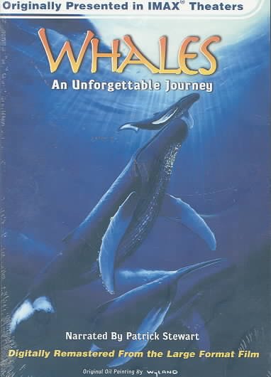 Whales : an unforgettable journey.