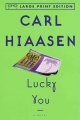 Lucky you : a novel  Cover Image