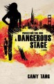 A dangerous stage  Cover Image