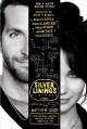 Go to record The silver linings playbook
