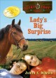 Lady's big surprise Cover Image