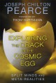 Exploring the crack in the cosmic egg : split minds and meta-realities  Cover Image