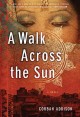 A walk across the sun : a novel  Cover Image